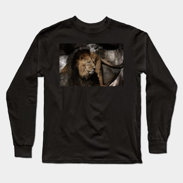 lion - indian lion Long Sleeve T-Shirt by hottehue